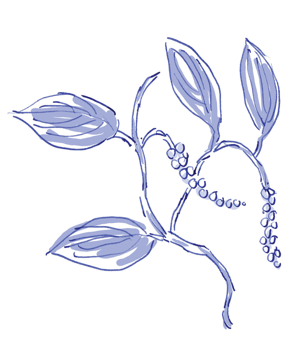 Black Pepper