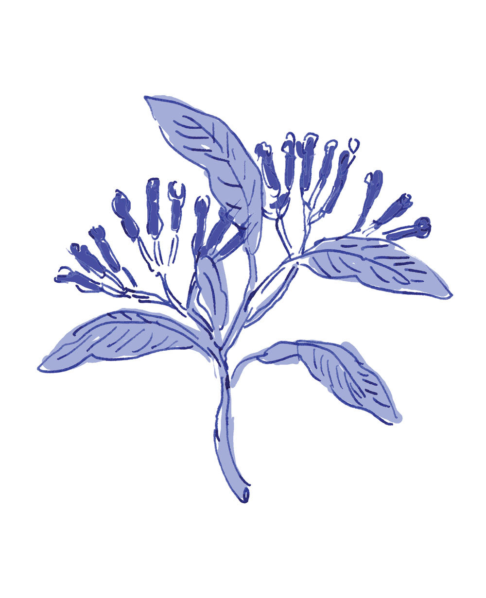 Cloves