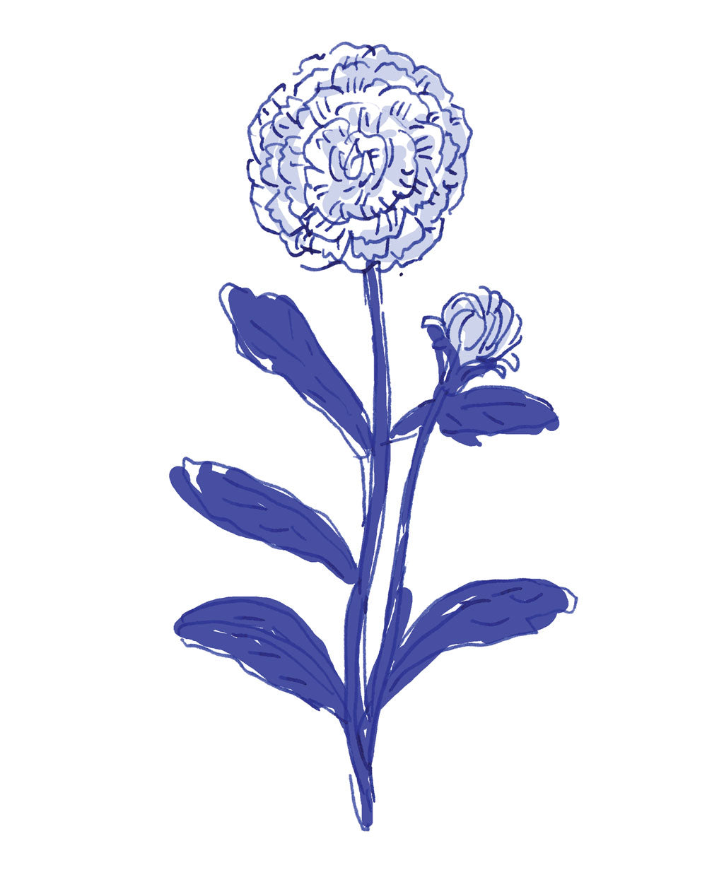 Marigold