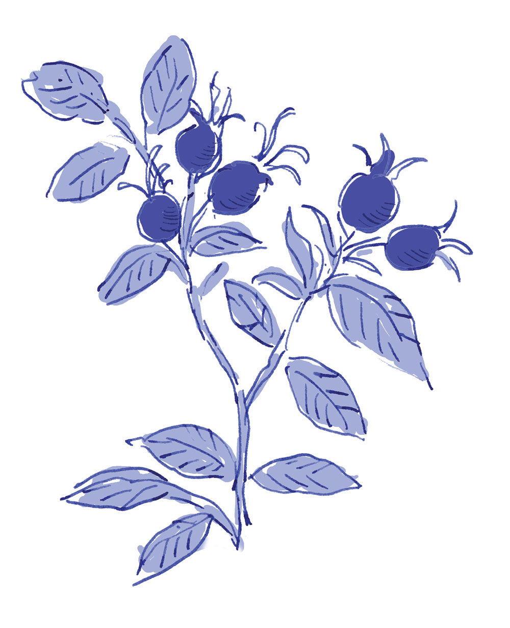 Rosehip