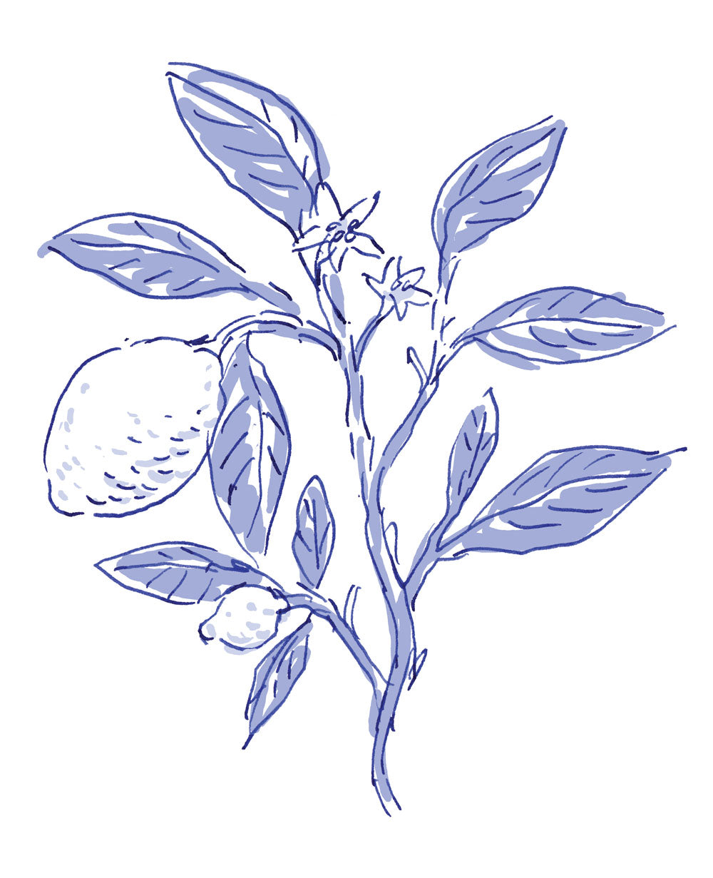 Lemon